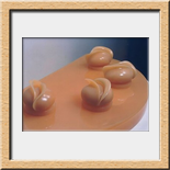 Acevedo, Eladia - 1999  Resina