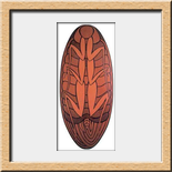 Baldemar Rub�n - Escudo Zul� 2004