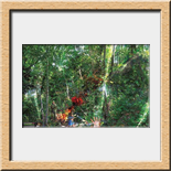 Marcaccio Fabi�n - 2006 difuso baja intensidad 365x243cm