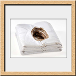 Temporelli Mabel - Perfume de mujer, (libro objeto), realizaci�n 2005; medidas 25 x 30 x 10 - costuras y quemadura de plancha sobre telas de vestir femeninas