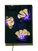 Zelicovich Emma - Serie El elogio de la Luz 2